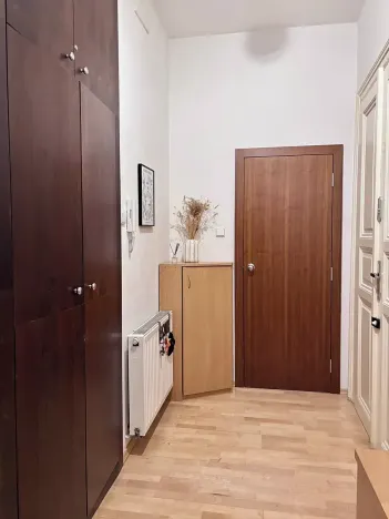 Prodej bytu 1+1, Praha - Vinohrady, Anny Letenské, 50 m2