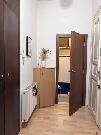 Prodej bytu 1+1, Praha - Vinohrady, Anny Letenské, 50 m2
