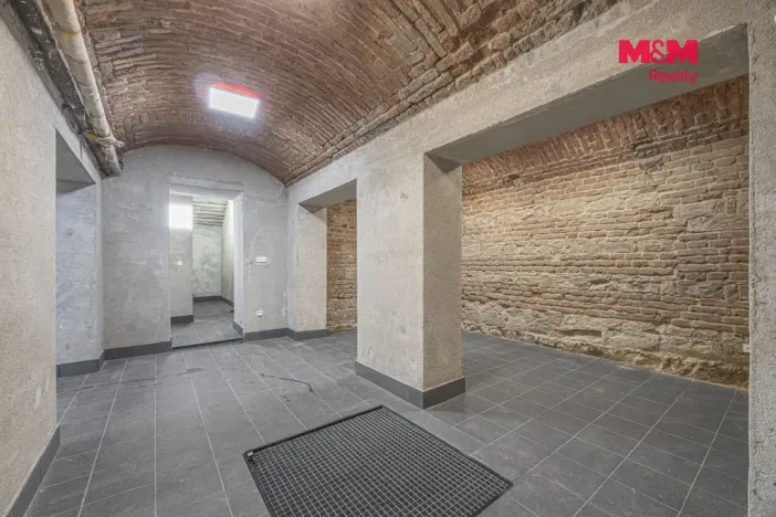 Pronájem komerční nemovitosti, Praha, Seifertova, 100 m2