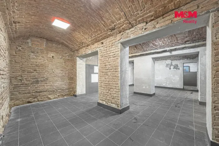 Pronájem komerční nemovitosti, Praha, Seifertova, 100 m2