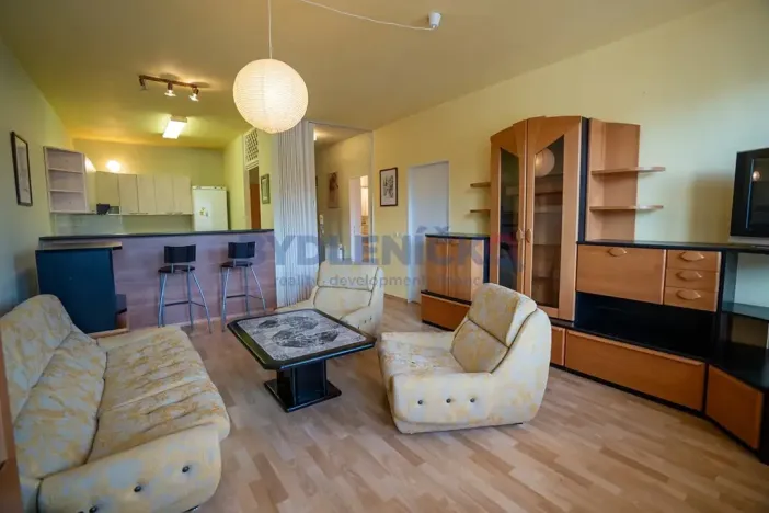 Prodej bytu 2+1, Písek, Čechova, 53 m2