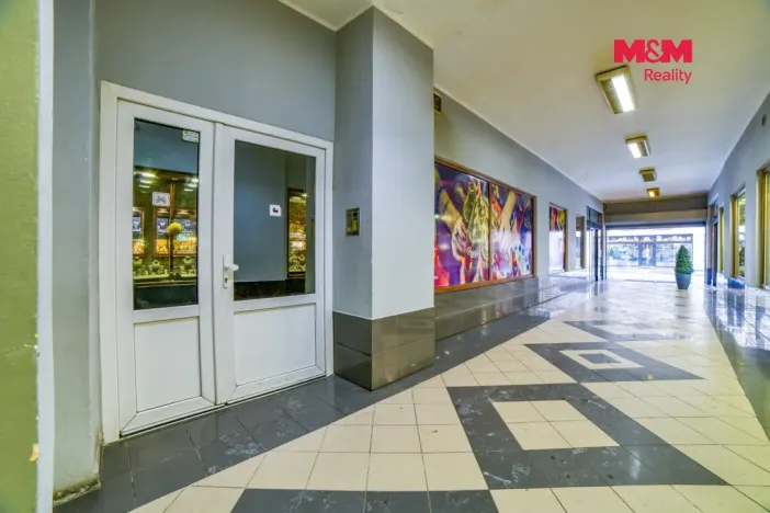 Pronájem bytu 2+1, Cheb, Svobody, 72 m2