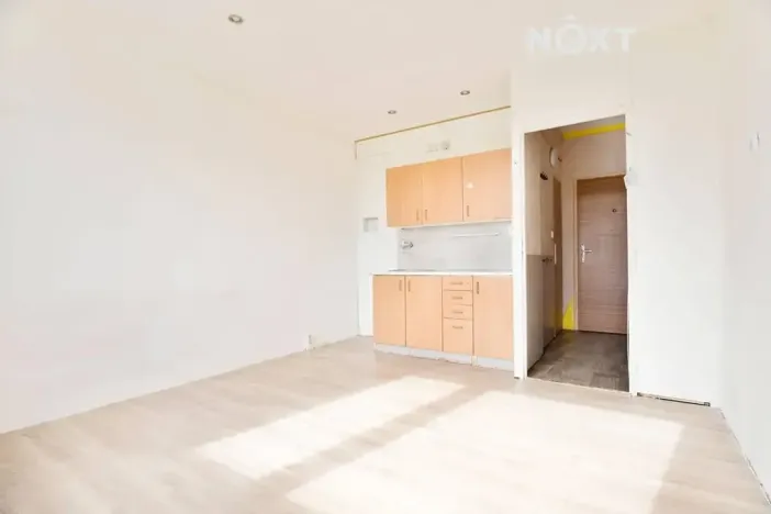 Pronájem bytu 1+kk, Žatec, Ostrov, 20 m2
