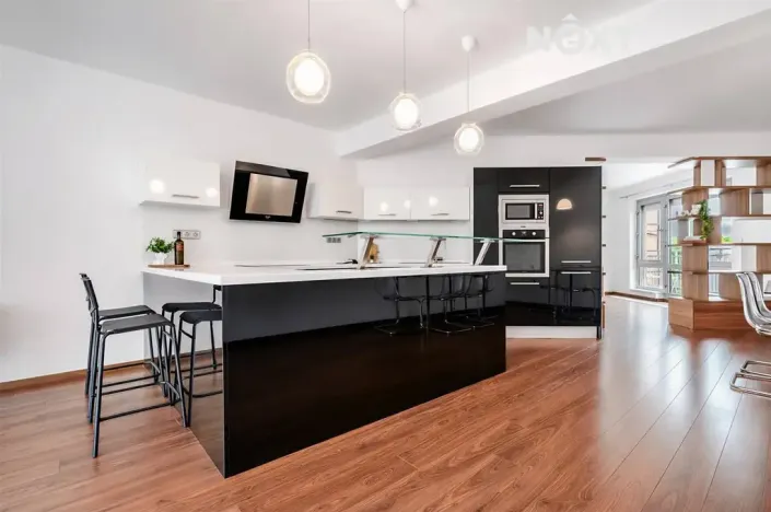 Prodej bytu 2+kk, České Budějovice, Rudolfovská tř., 96 m2