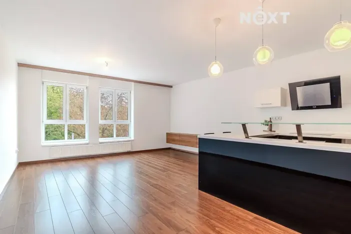 Prodej bytu 2+kk, České Budějovice, Rudolfovská tř., 96 m2