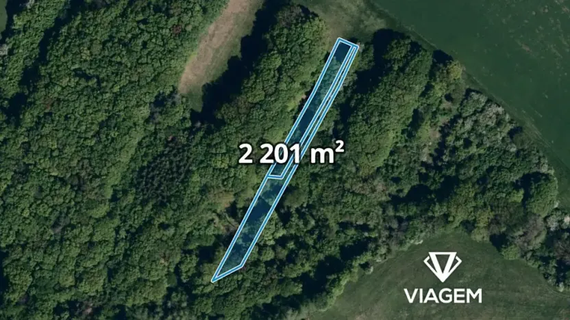 Prodej podílu lesa, Velký Ořechov, 1100 m2