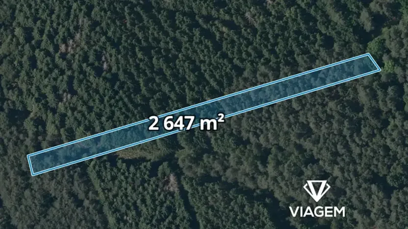 Prodej lesa, Dvory nad Lužnicí, 2647 m2