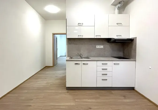 Pronájem bytu 2+kk, Brno, Cihlářská, 42 m2