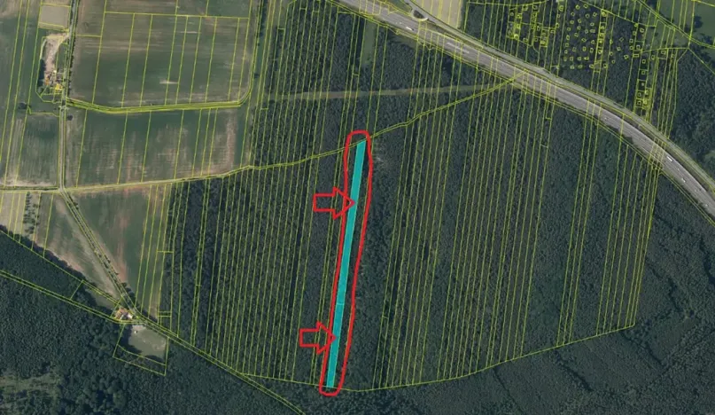 Prodej lesa, Řevničov, 11311 m2