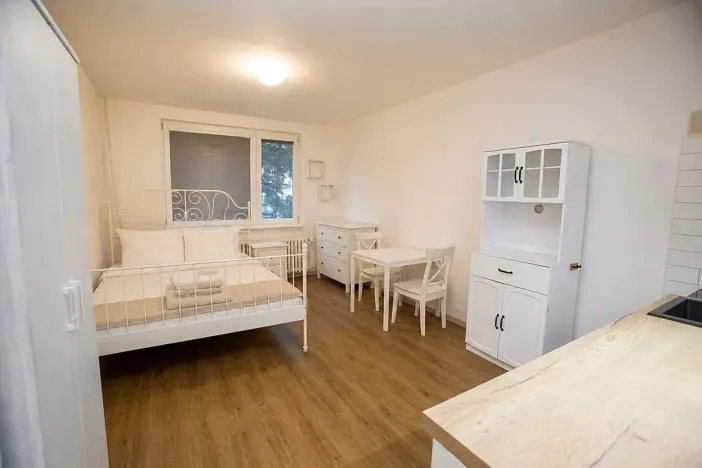 Pronájem bytu 1+kk, Jindřichův Hradec, sídliště U Nádraží, 26 m2