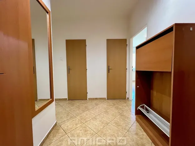 Prodej bytu 2+1, Brno, Podlesí, 53 m2