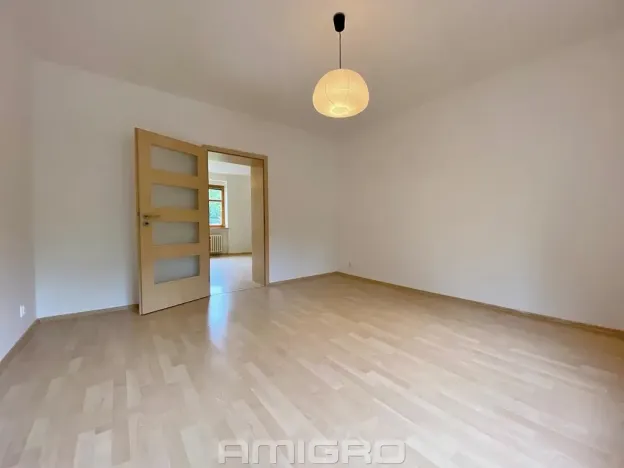 Pronájem bytu 2+kk, Brno, Obilní trh, 46 m2