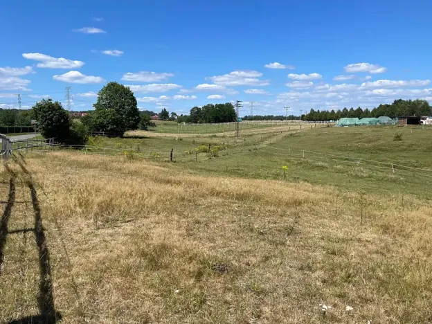 Prodej louky, Ptýrov, 1055 m2