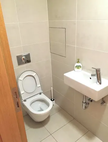 Pronájem bytu 2+kk, Praha - Žižkov, Pitterova, 73 m2