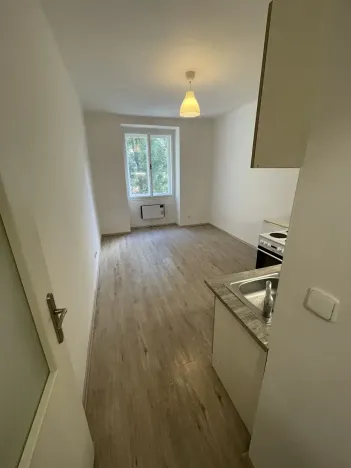 Pronájem bytu 1+kk, Praha - Žižkov, Zelenky-Hajského, 18 m2