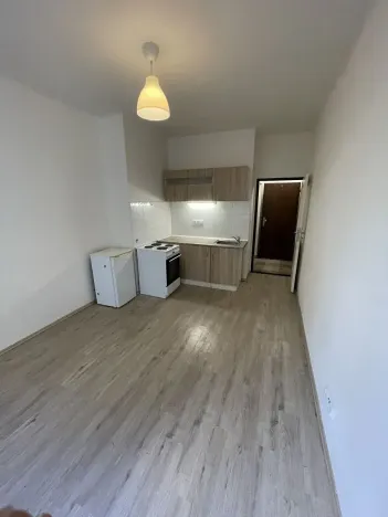 Pronájem bytu 1+kk, Praha - Žižkov, Zelenky-Hajského, 18 m2