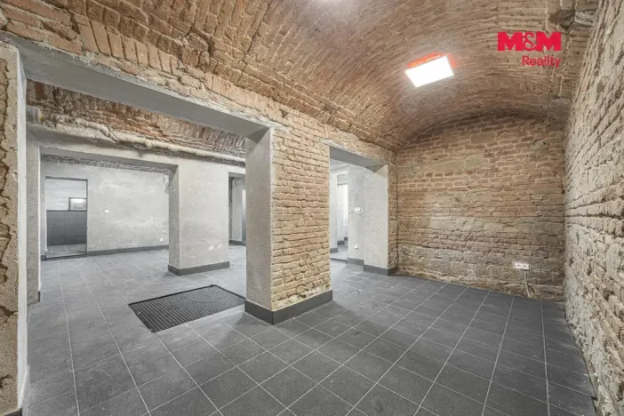 Pronájem komerční nemovitosti, Praha, Seifertova, 100 m2