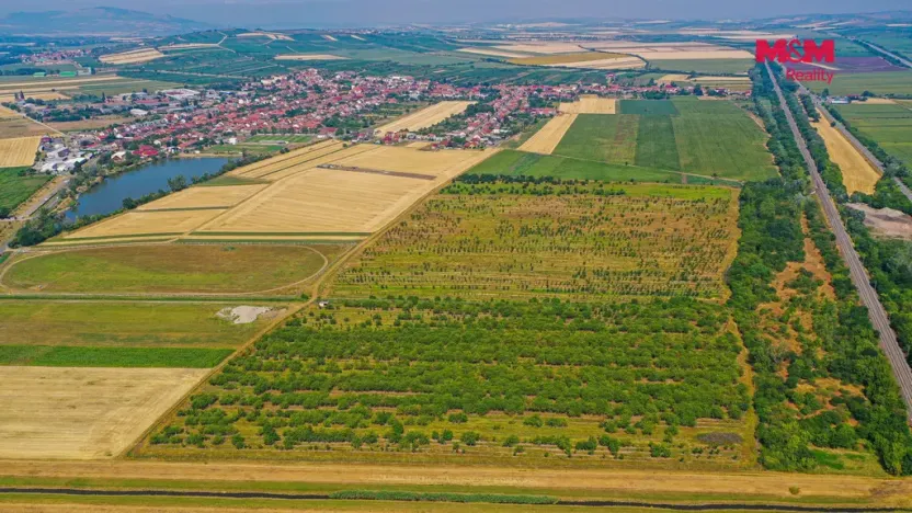 Prodej pole, Rakvice, 12442 m2