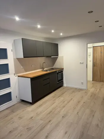 Prodej bytu 2+kk, Praha - Krč, Hurbanova, 41 m2