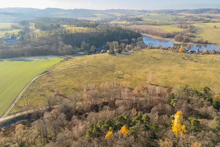 Prodej lesa, Vrchotovy Janovice, 19533 m2