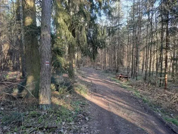 Prodej pozemku, Probulov, 3017 m2