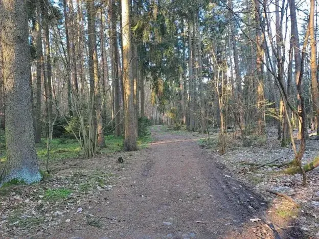 Prodej pozemku, Probulov, 3017 m2