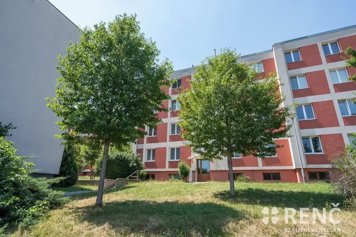 Prodej bytu 1+1, Brno, Družstevní, 37 m2