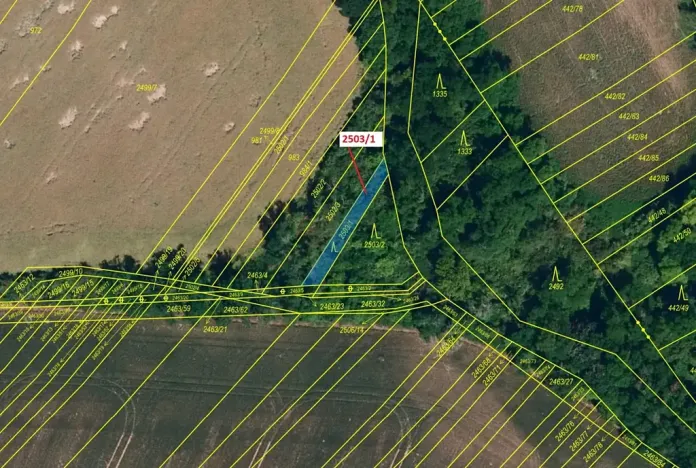 Dražba lesa, Horní Dunajovice, 164 m2