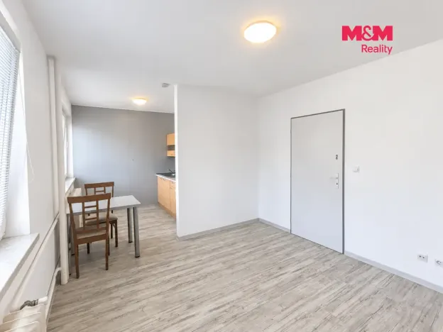 Pronájem bytu 1+kk, Hradec Králové, Sušilova, 32 m2