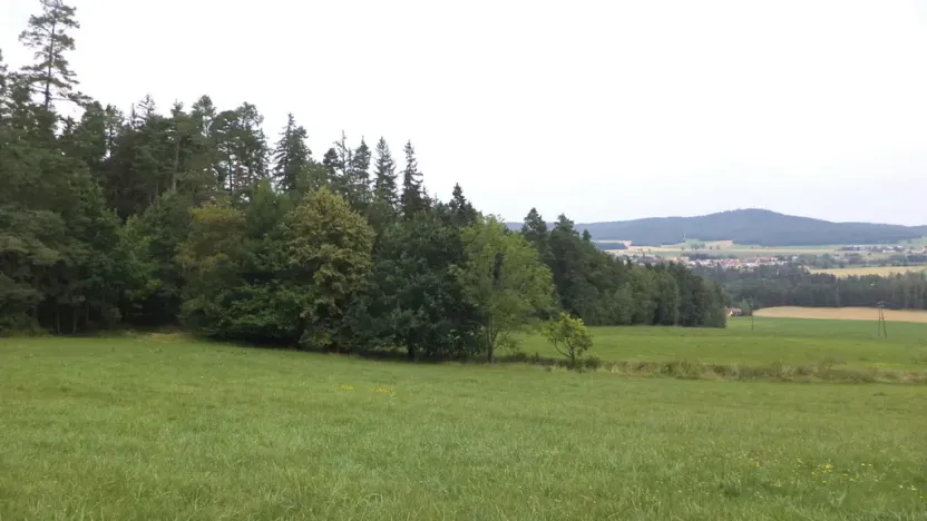 Prodej pozemku, Holubov, 5614 m2