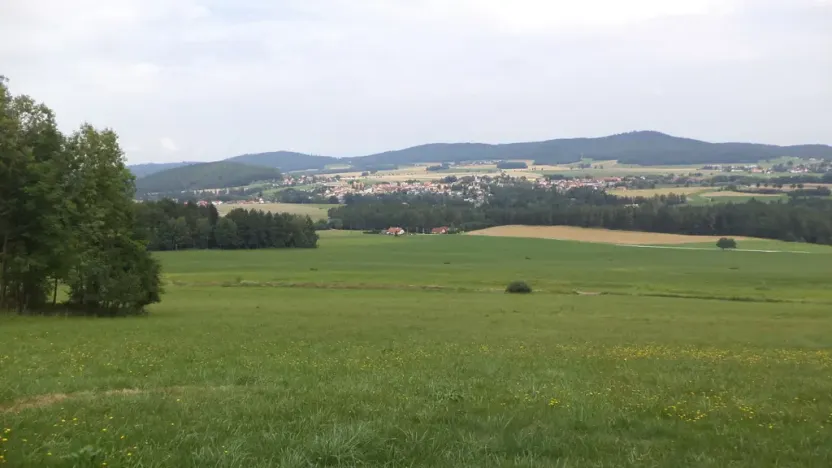 Prodej pozemku, Holubov, 5987 m2