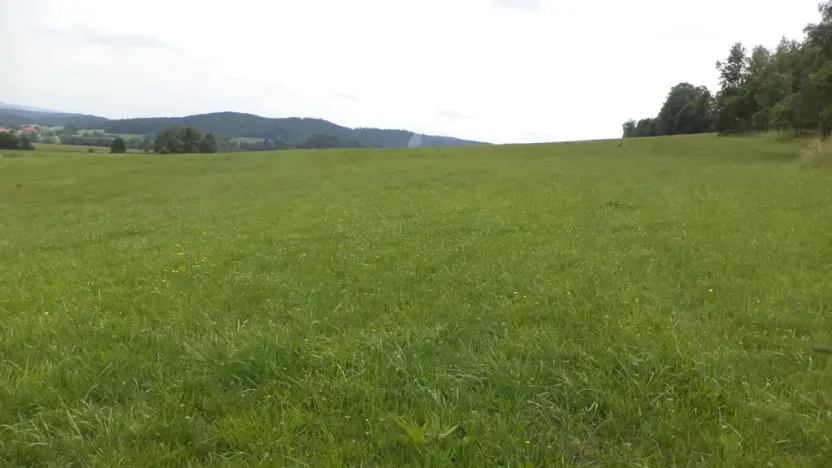 Prodej pozemku, Holubov, 5987 m2