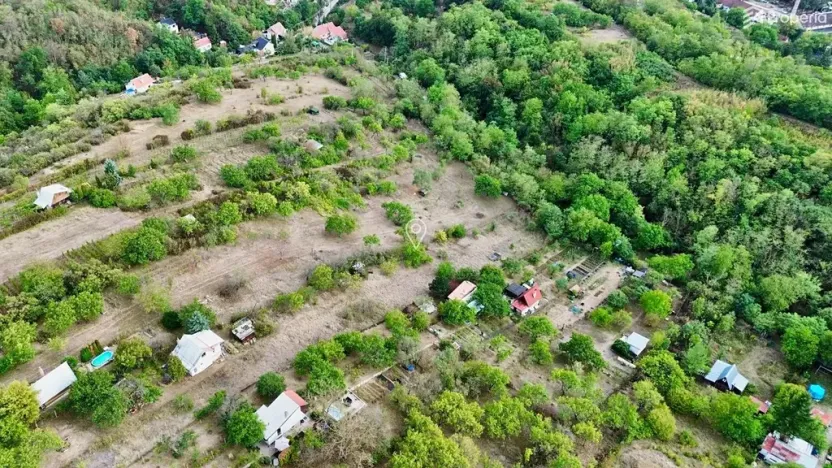 Prodej zahrady, Dolní Kounice, 985 m2