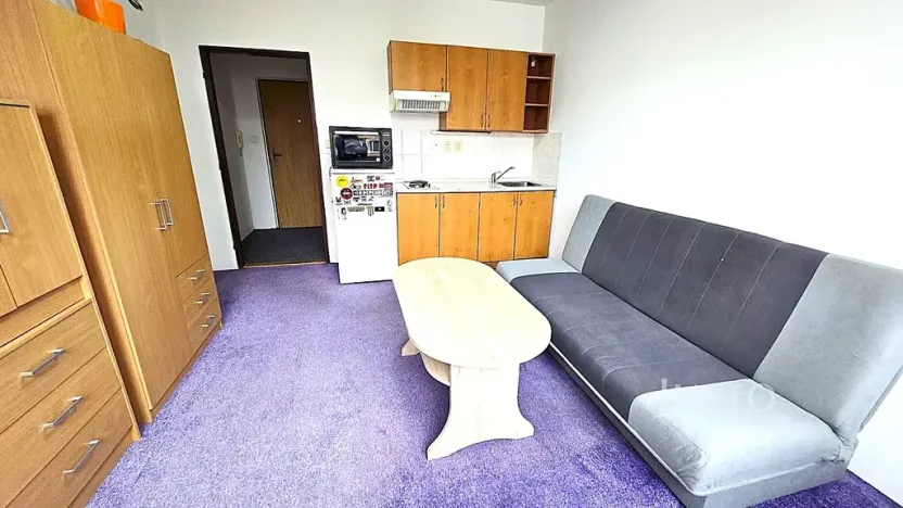 Pronájem bytu 1+kk, Písek, Dr. M. Horákové, 20 m2
