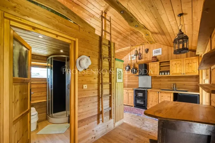 Prodej ubytování, Lhenice, 300 m2