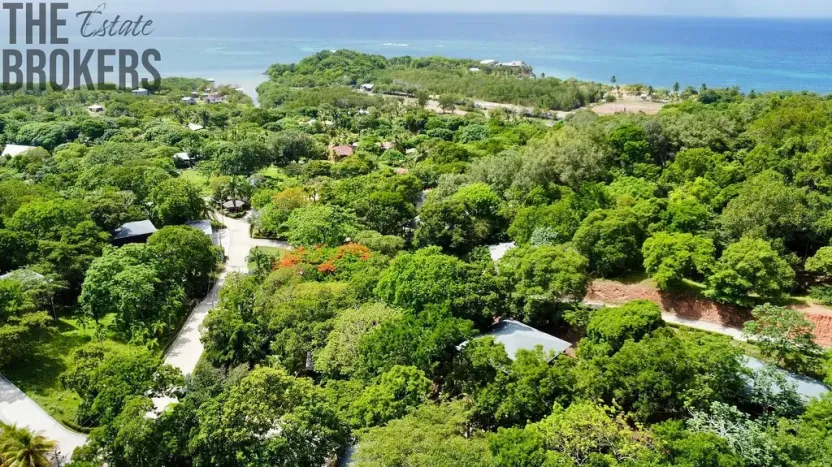 Prodej bytu 3+kk, Roatan, Roatán, Honduras, 111 m2