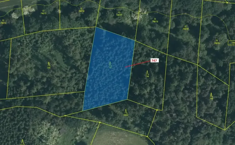 Dražba lesa, Zvěstov, 3010 m2
