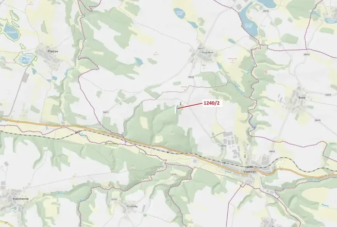 Dražba lesa, Vladislav, 1896 m2