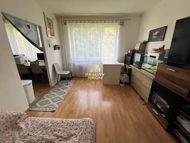 Prodej bytu 2+1, Žatec, Hájkova, 51 m2