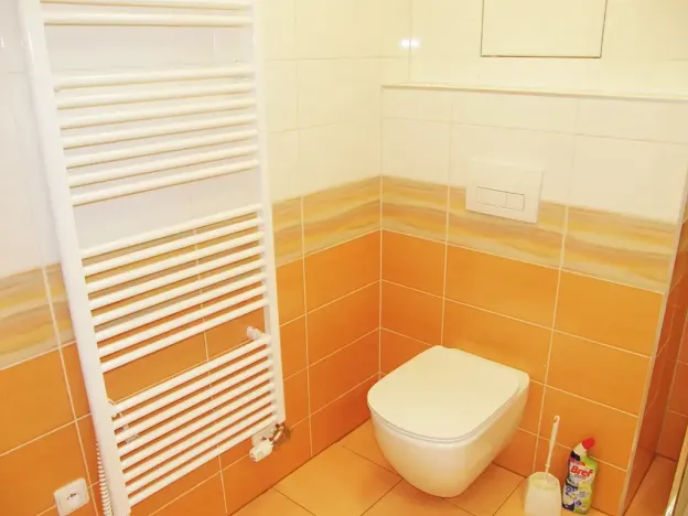 Prodej bytu 1+kk, Kašperské Hory, Lesní, 28 m2
