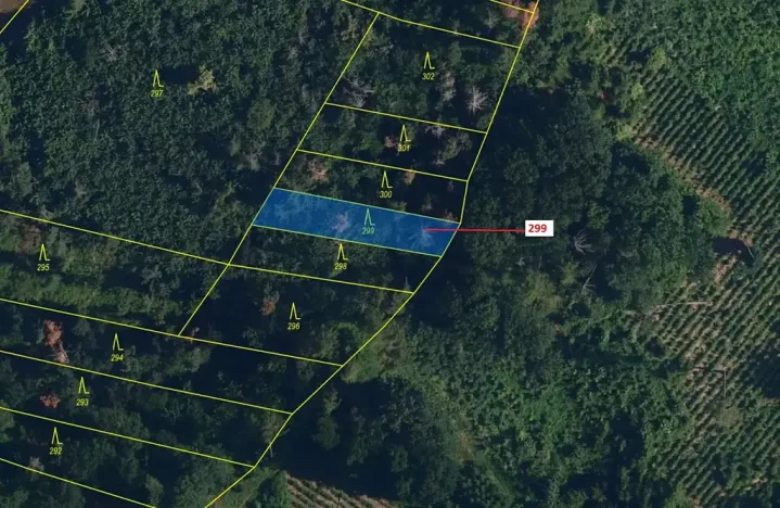 Dražba lesa, Jaroměřice nad Rokytnou, 482 m2