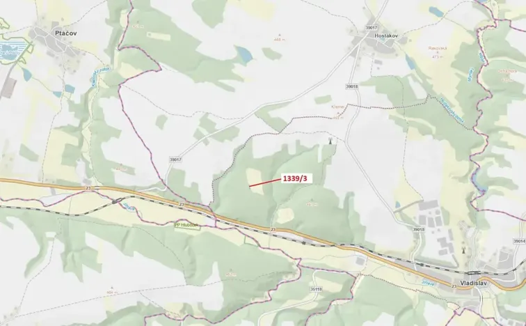 Dražba lesa, Vladislav, 54 m2
