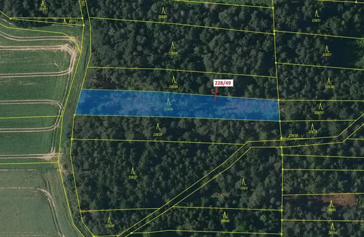 Dražba lesa, Břežany, 2070 m2