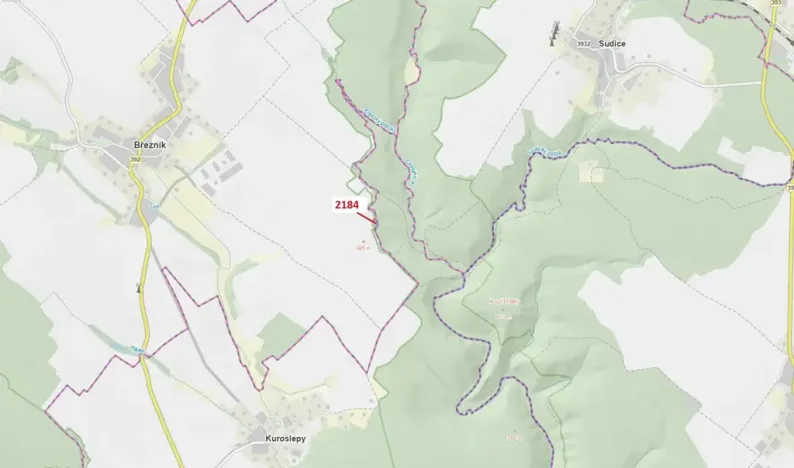 Dražba lesa, Březník, 291 m2