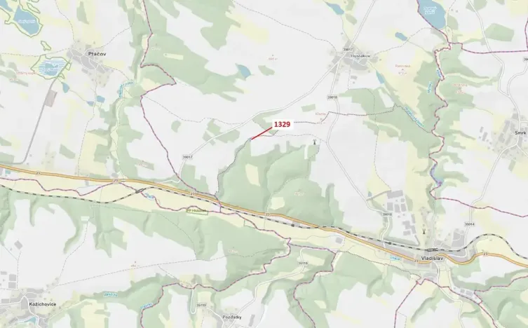 Dražba lesa, Vladislav, 381 m2
