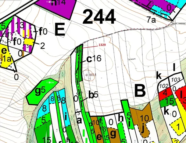 Dražba lesa, Vladislav, 381 m2