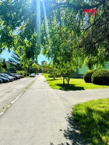 Pronájem bytu 3+1, Ostrava - Zábřeh, Písečná, 64 m2
