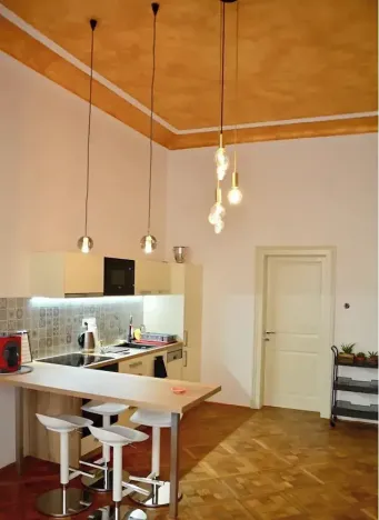 Pronájem bytu 2+kk, Praha - Vinohrady, Mánesova, 55 m2