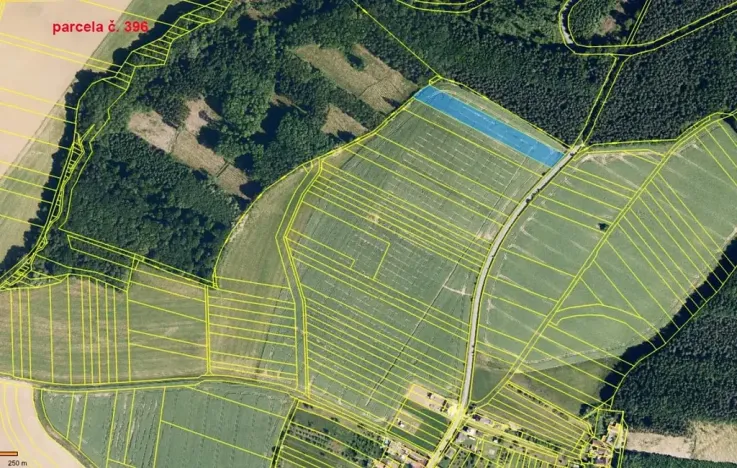 Prodej pole, Karlovice, 13069 m2