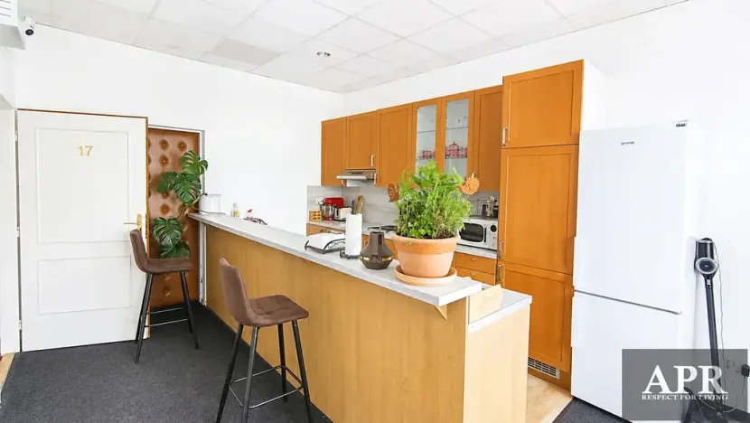 Pronájem bytu 1+kk, Uherský Brod, Mariánské nám., 20 m2